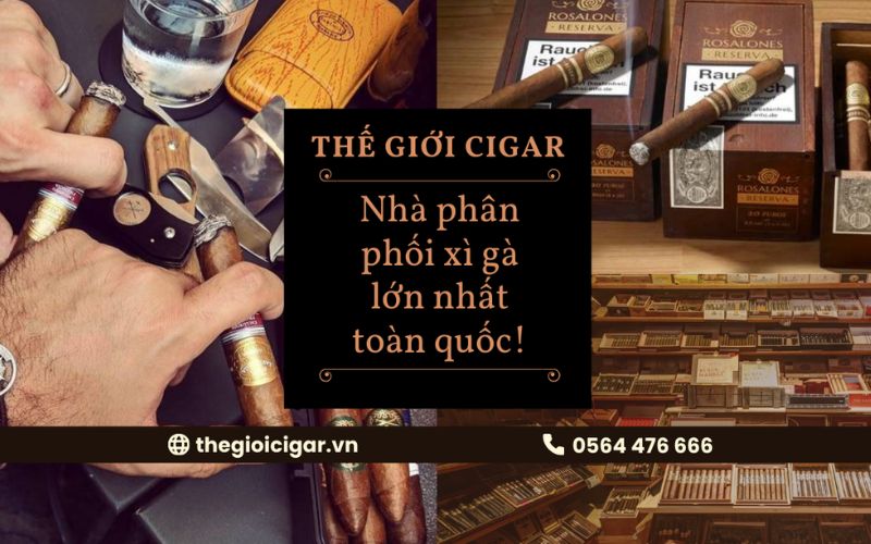 Thế giới cigar đơn vị cung cấp xì gà uy tín