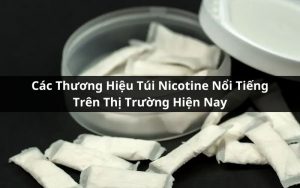 các thương hiệu túi nicotine