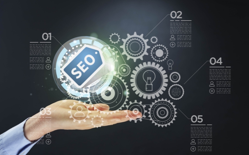 các loại hình seo