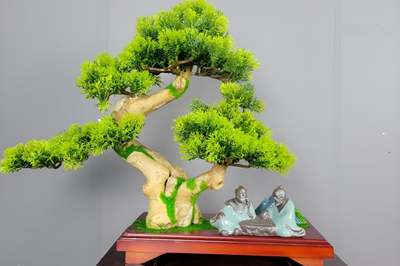 cách lựa chọn tiểu cảnh phù hợp