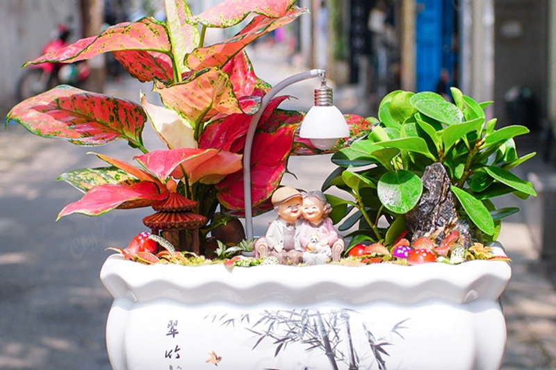 tiểu cảnh để bàn làm việc